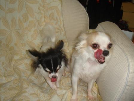 おいしかったでしゅ～～