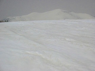 4月のアヤメ平からの至仏山