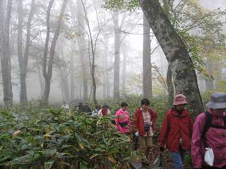 071019玉原ブナ平