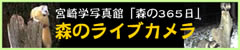 「宮崎学写真館　森の365日」