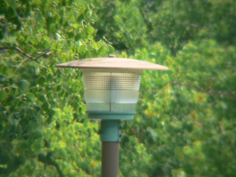 FZ7+TelePhoto25