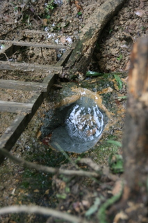 daycamp0804010