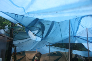 camp0806023
