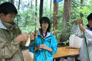 camp0806028