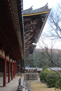 nara005