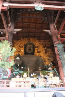 nara008