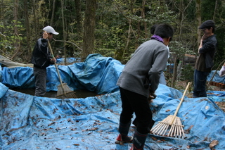 daycamp0804002