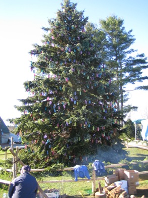 LLビーンツリー