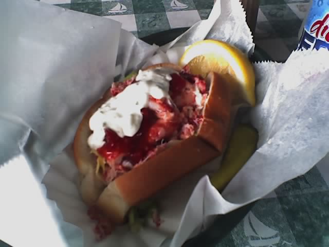 ロブスタードック