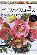 クリスマスローズ　野々口稔