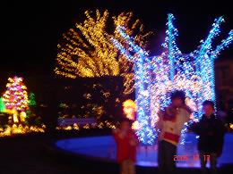 イルミネーション3