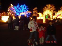 イルミネーション４