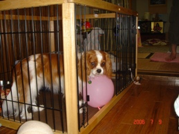 いいのかな・・