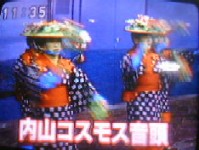コスモス音頭