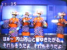 コスモス音頭2