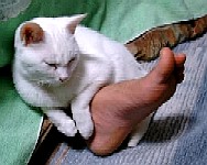 ＺＺｚｚｚ．．.｡o○
