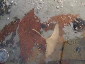 氷の下の落ち葉