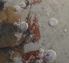 用水路の氷の下