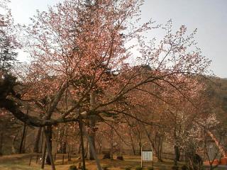 夕張　滝の上自然公園