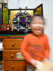 五月人形と.gif