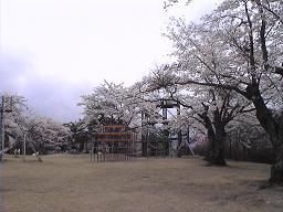 DVC00510.JPG