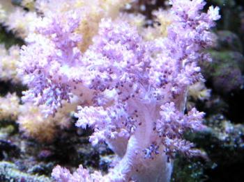 PICT0158.JPG