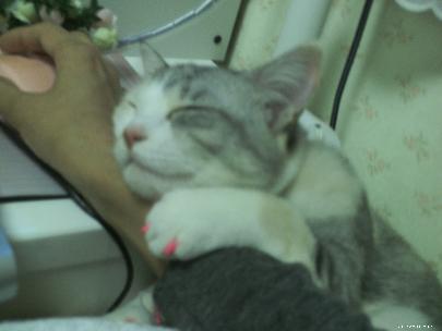 腕枕してるアメリ