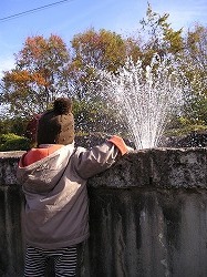 今日もまた噴水に釘付け