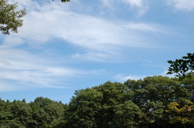 朝日山公園の今日の空♪