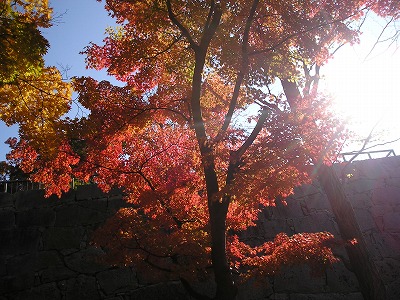 岩手公園２