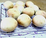 丸パン！！.jpg