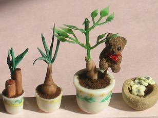 観葉植物とミニベア