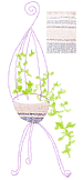 plant001.gif