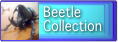 ≪Beetle Collection≫
