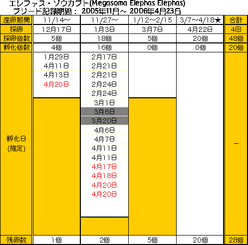 エレファス孵化状況20060423現在