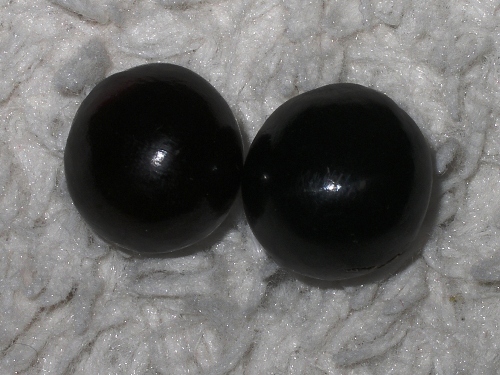 ※磨いた木の実