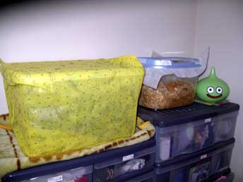 ケースごと覆ってみました