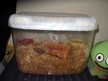 フタすっきりです