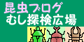 むし探検広場