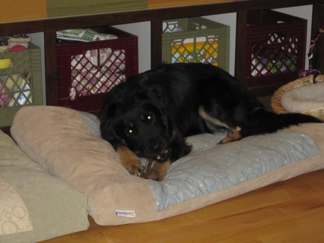 November and December 09 036.jpg