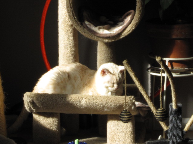 November and December 09 001.jpg