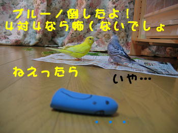 それでもイヤ。