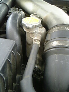 ウォーターポンプ