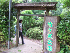伊豆大川竹ヶ沢公園