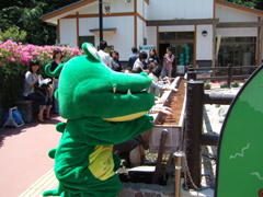 伊豆　熱川温泉で手湯をするドリーちゃん
