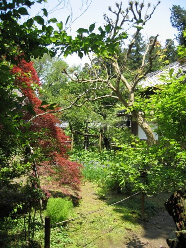 浄智寺の庭園