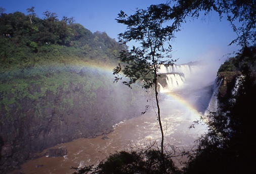 イグアスの滝　1996年　密林と滝と虹