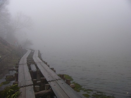 霧の弥陀が池.JPG