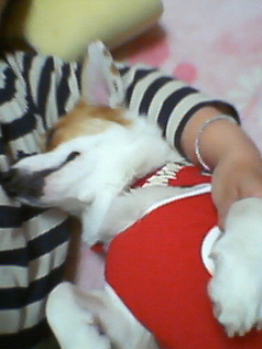 200604111904000.jpg