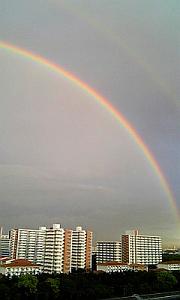 空に架かる虹